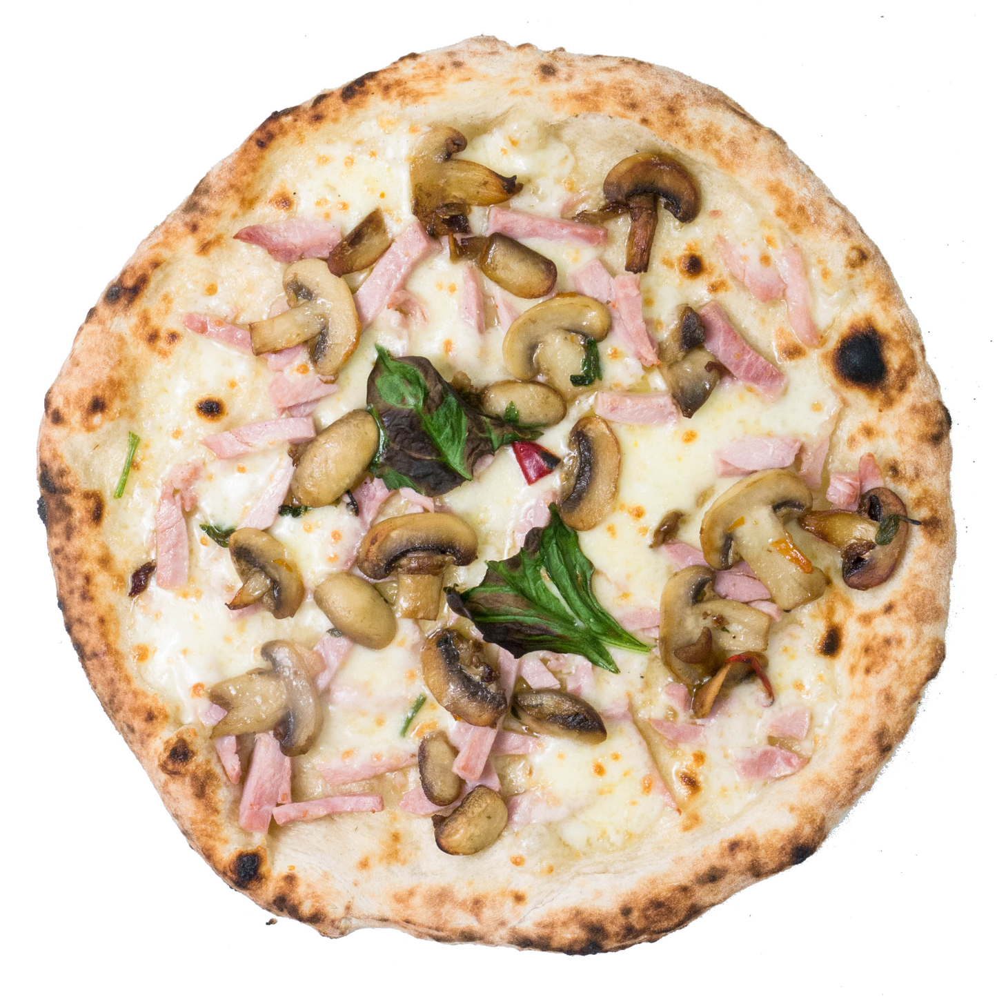 Pizza Prosciutto e Funghi - Mangiobevo