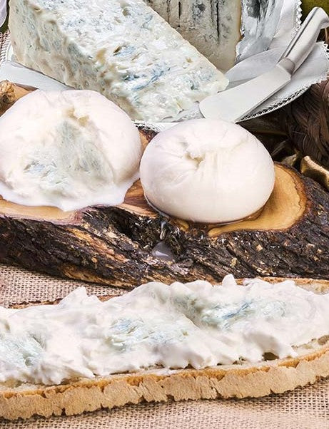 Burrata au Gorgonzola 100g - Mangiobevo